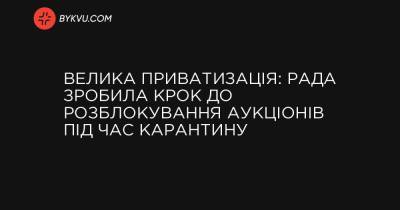 Большая приватизация: Рада сделала шаг к разблокированию аукционов во время карантина - bykvu.com