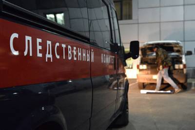 В Дагестане раскрыли террористическую группировку подростков - lenta.ru - Махачкала - респ. Дагестан