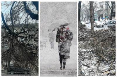 Повисшие ветки, кучи и грязь: как выглядит Одесса после снежной бури, кадры - odessa.politeka.net - Одесса