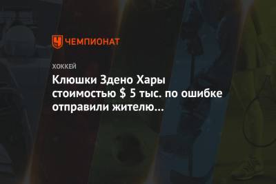 Клюшки Здено Хары стоимостью $ 5 тыс. по ошибке отправили жителю Нью-Джерси - championat.com - Вашингтон - шт.Нью-Джерси