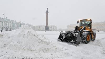В Москве и Петербурге началось арктическое вторжение - 5-tv.ru - Москва - Амурская обл. - Петербурга