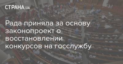 Александр Корниенко - Рада приняла за основу законопроект о восстановлении конкурсов на госслужбу - strana.ua