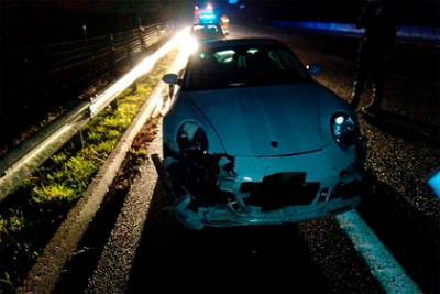 Водитель Porsche врезался в стадо кабанов на скорости и поубивал их - lenta.ru