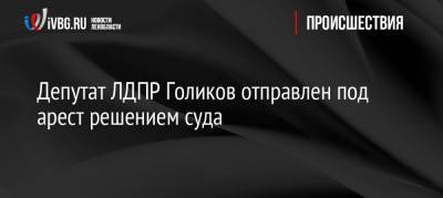 Депутат ЛДПР Голиков отправлен под арест решением суда - ivbg.ru - Ленинградская обл. - Следственный Комитет