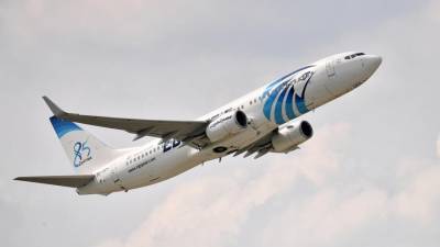 Авиакомпания EgyptAir откроет дополнительные рейсы из Каира в Москву - iz.ru - Москва - Египет - Каир