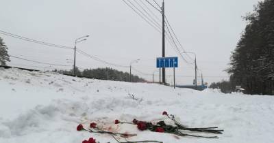 В Воронеже учительнице перерезали горло - readovka.news - Воронеж