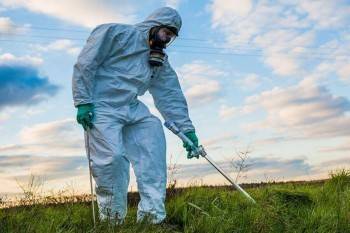 Кто заработает 1,3 миллиона на вологодских парковых клещах? - vologda-poisk.ru - Вологда