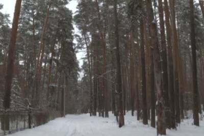 В Тамбовской области появится крупнейший в России парк развлечений - tambov.mk.ru - Тамбовская обл.
