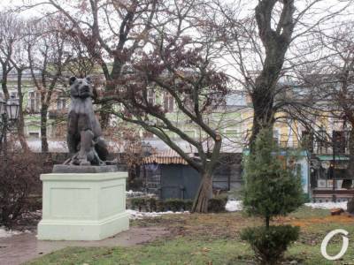 Последствия одесской непогоды: в Горсаду пострадали деревья (фото) - odessa-life.od.ua