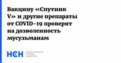 Ильдар Аляутдинов - Вакцину «Спутник V» и другие препараты от COVID-19 проверят на дозволенность мусульманам - nsn.fm - Москва