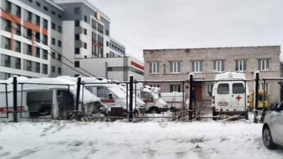 Женщина родила около больницы в Ленинградской области - vesti.ru - Ленинградская обл.