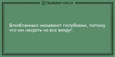Веселые и забавные вечерние анекдоты 4 февраля - ТЕЛЕГРАФ - telegraf.com.ua