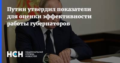Владимир Путин - Путин утвердил показатели для оценки эффективности работы губернаторов - nsn.fm
