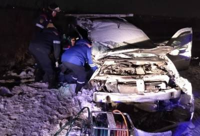 Полиция возбудила уголовное дело после смертельного ДТП на трассе М-10 в Ленобласти - online47.ru - Ленинградская обл. - Санкт-Петербург - Смоленская обл.