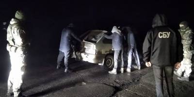 В Волновахском районе задержана банда черных лесорубов, они причинили миллионный ущерб, фото - ТЕЛЕГРАФ - telegraf.com.ua - Мариуполь - район Волновахский - Донбасс - Донецкая обл.