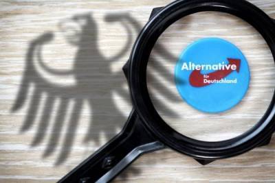 Социолог предрёк конец «Альтернативы для Германии» - eadaily.com - Берлин
