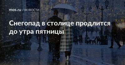 Снегопад в столице продлится до утра пятницы - mos.ru