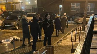 В Воронеже на коляску с ребенком из окна выпал мужчина: оба погибли - vesti.ru - Воронеж