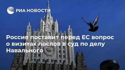 Алексей Навальный - Мария Захарова - Жозепом Боррелем - Россия поставит перед ЕС вопрос о визитах послов в суд по делу Навального - ria.ru - Москва - Россия