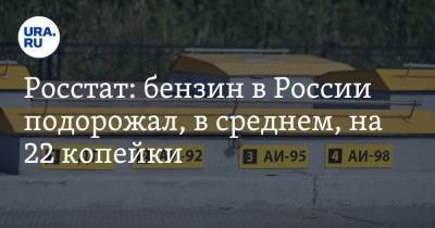 Росстат: бензин в России подорожал, в среднем, на 22 копейки - ura.news - Красноярск - Улан-Удэ - Самара - Хабаровск