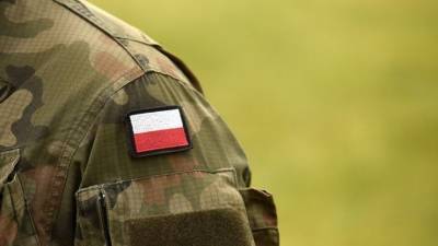 Польша смоделировала войну с Россией и потерпела крах за четыре дня - 5-tv.ru - Москва - Россия - Ирак - Польша - Афганистан - Варшава - Люблин