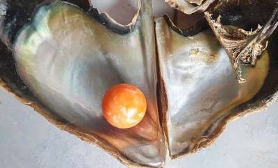Бедный рыбак нашел уникальную жемчужину, оцененную в 300 тысяч долларов, в Таиланде (фото) - lenta.ua - Таиланд - Находка