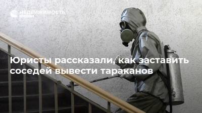 Юристы рассказали, как заставить соседей вывести тараканов - realty.ria.ru - Москва