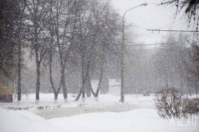 В Кузбассе за сутки выпало до 1,2 м снега - gazeta.a42.ru - район Таштагольский