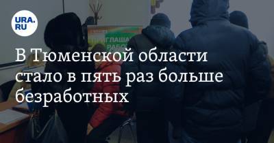 В Тюменской области стало в пять раз больше безработных - ura.news - Тюменская обл.