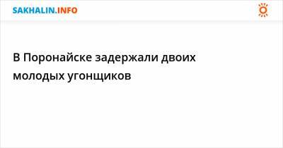 В Поронайске задержали двоих молодых угонщиков - sakhalin.info - Поронайск