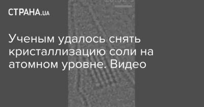Япония - Ученым удалось снять кристаллизацию соли на атомном уровне. Видео - strana.ua - Токио