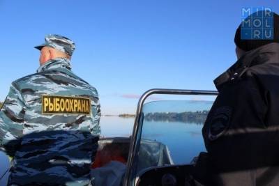 В Дагестане выявлено более 3 тысяч нарушений в сфере рыболовства - mirmol.ru - респ. Дагестан
