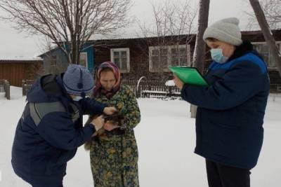 В Костромской области домашних животных бесплатно прививают от бешенства - kostroma.mk.ru - Костромская обл.