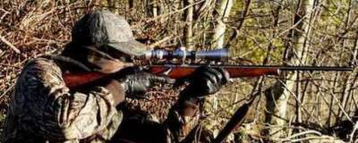 Сергей Воскресенский - В Подмосковье начали действовать новые правила охоты - runews24.ru - Московская обл.