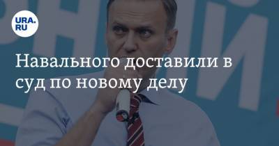 Алексей Навальный - Александра Савельева - Навального доставили в суд по новому делу - ura.news - Москва - Англия