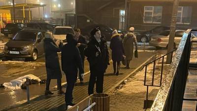 В прокуратуре рассказали о личности упавшего на коляску с ребёнком - 7info.ru - Воронеж - Воронежская обл.
