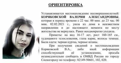 В Сосногорске полиция ищет пропавшую девушку - komiinform.ru - Сосногорск
