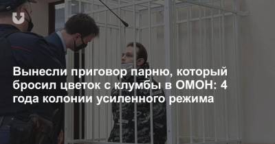 Вынесли приговор парню, который бросил цветок с клумбы в ОМОН: 4 года колонии усиленного режима - news.tut.by - район Ленинский - Минск