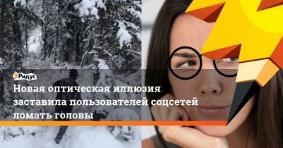 Новая оптическая иллюзия заставила пользователей соцсетей ломать головы - ridus.ru