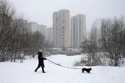 На Украине из-за шторма без света остались почти две сотни населенных пунктов - lenta.ru - Киевская обл. - Черниговская обл. - Хмельницкая обл. - Винницкая обл. - Тернопольская обл. - Житомирская обл. - Полтавская обл.