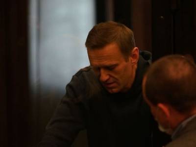Алексей Навальный - Навальный в суде заявил, что не видел материалов дела о клевете - rosbalt.ru - Москва