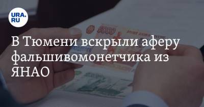 В Тюмени вскрыли аферу фальшивомонетчика из ЯНАО - ura.news - Тюмень - Тюменская обл. - окр. Янао