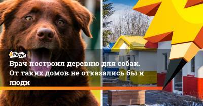 Врач построил деревню для собак. От таких домов не отказались бы и люди - ridus.ru
