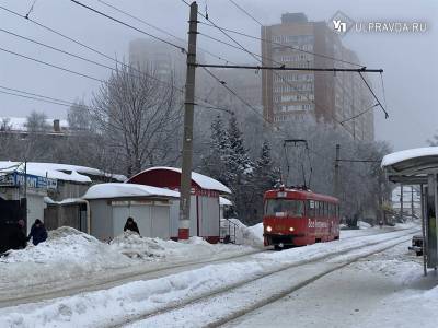 Фотоохота на сосульки и претензии к сугробам. О чем ульяновцы пишут в соцсетях - ulpravda.ru - Ульяновск - Ульяновская - Димитровград