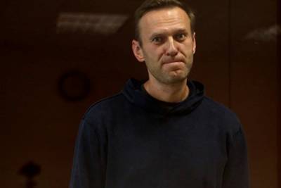 Алексей Навальный - Игнат Артеменко - Навальный обвинил родственников потерпевшего ветерана в издевательствах - lenta.ru - Москва