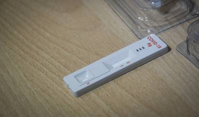 Ученые создали коктейль из антител, помогающий переболеть COVID-19 бессимптомно - newizv.ru
