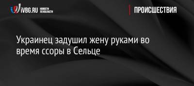 Украинец задушил жену руками во время ссоры в Сельце - ivbg.ru - Санкт-Петербург - район Тосненский