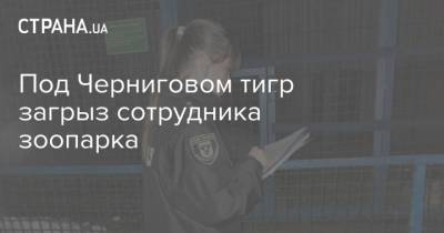 Под Черниговом тигр загрыз сотрудника зоопарка - strana.ua