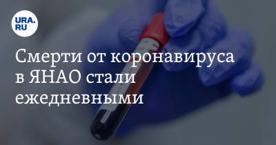 Смерти от коронавируса в ЯНАО стали ежедневными - ura.news - Ноябрьск - Салехард - окр. Янао