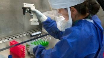 За сутки от ковида выздоровели 307 вологжан - vologda-poisk.ru - Вологодская обл. - Вологда